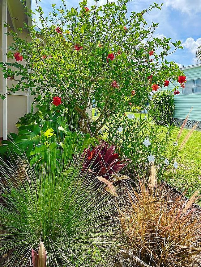 Image of 620 57th Ave W Lot E6