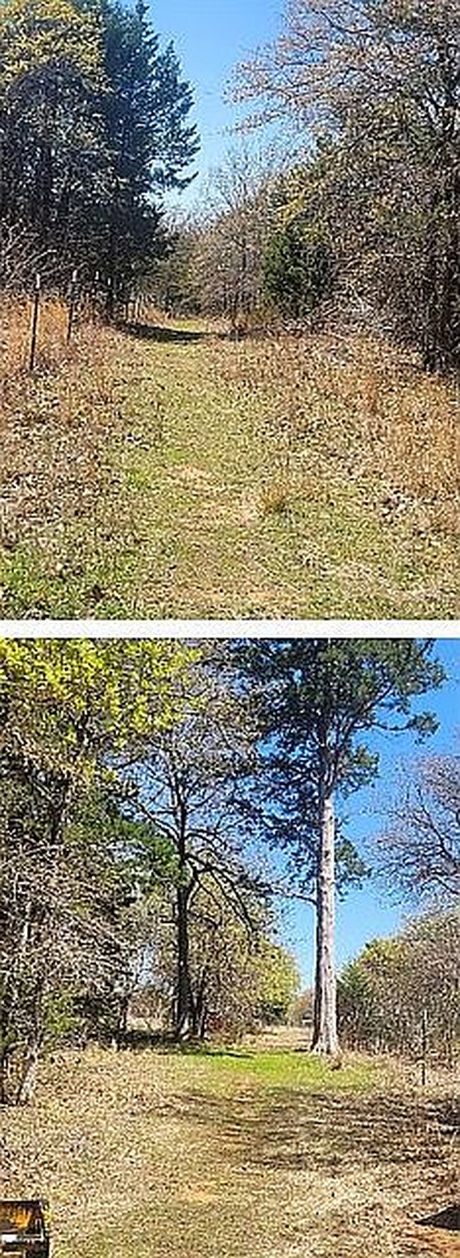 Image of 38206 Lonesome Dove Rd