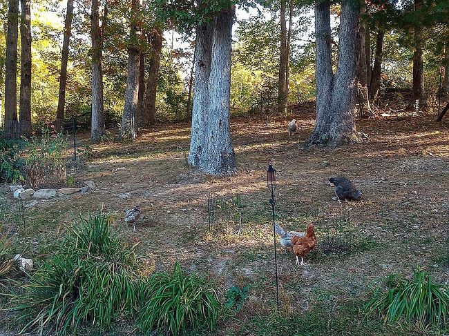 Photo of 129 Douglas Holw, Olive Hill, KY