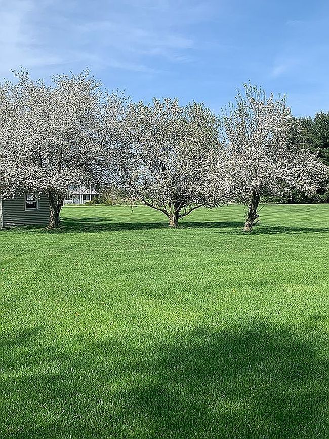 Image of 20714 County Road 20