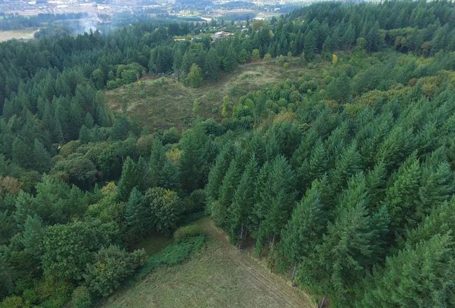 Image of 33410 Ne Old Parrett Mountain Road
