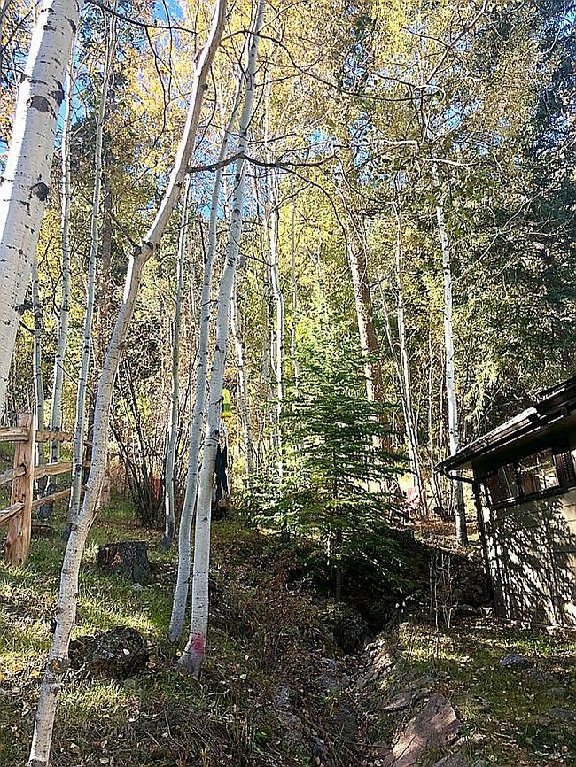 Photo of 10155 Mountain Rd, Cascade, CO