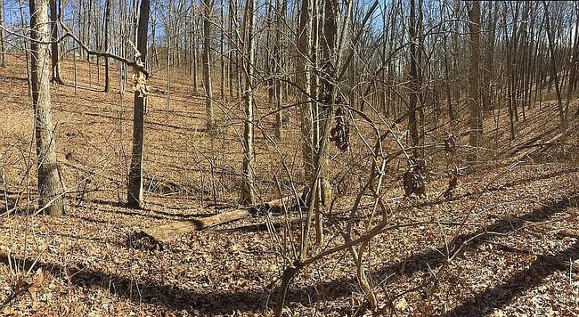Image of 10818 Marvin Rd
