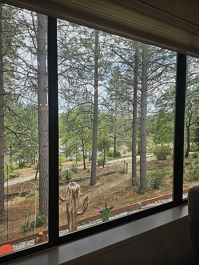 Image of 10107 Dalewood Way