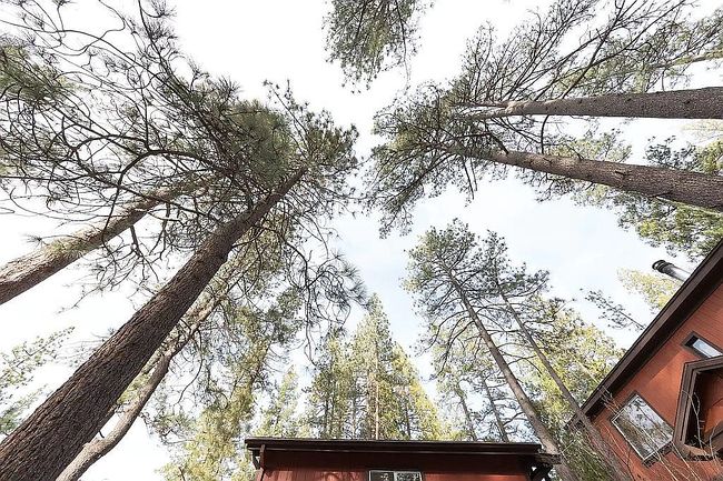 Photo of 52805 Idyllmont Rd, Idyllwild, CA