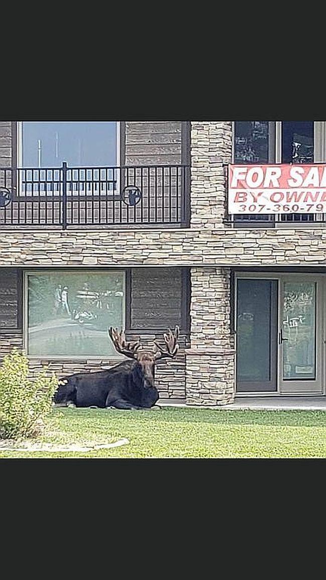 Photo of 204 Tee Cir, Pinedale, WY