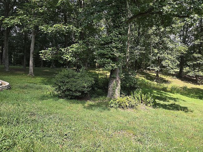 Photo of 590 Great Country Estate Rd, Hawesville, KY