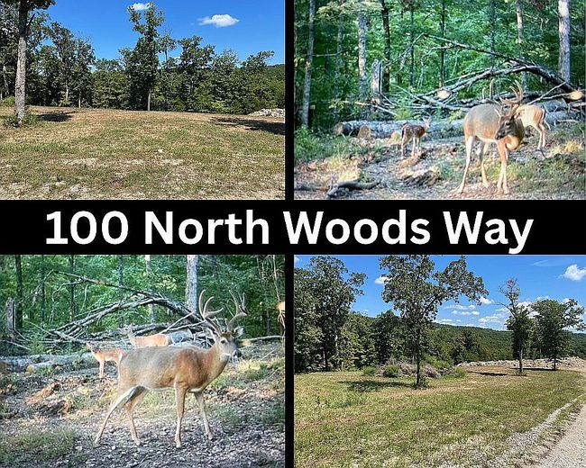 Photo of 100 N Woods Way, Branson, MO