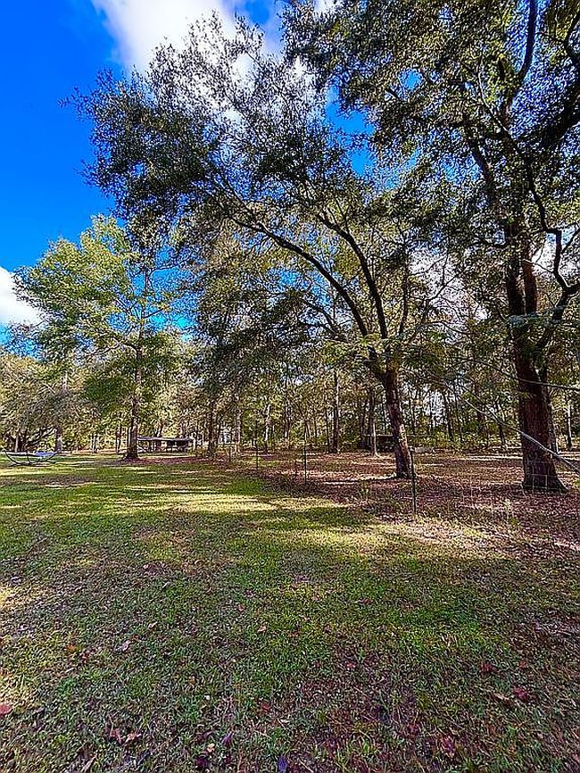 Image of 162 Blueberry Loop