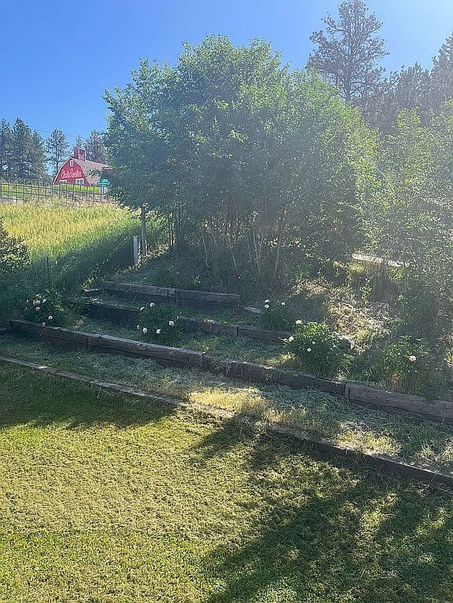 Photo of 120 Matkins Ct, Hill City, SD