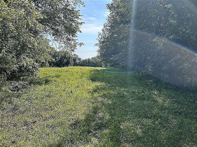 Image of 38520 Pin Oak Church Rd