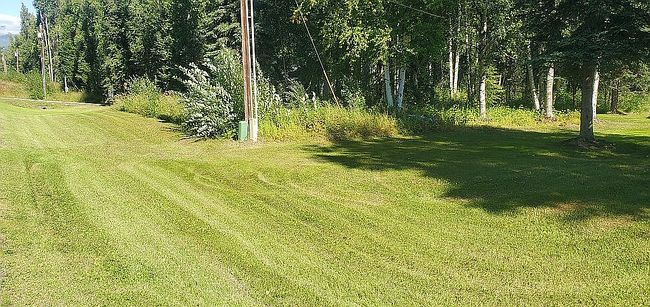 Image of 1160 E Susitna Dr