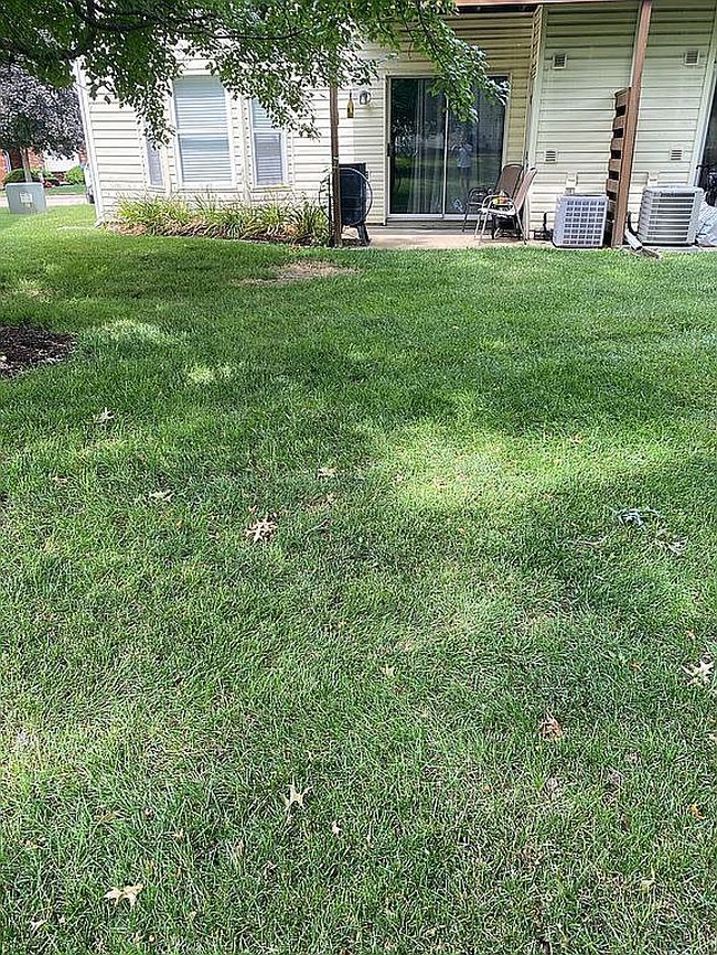 Photo of 428 Cambridge Pl, Saint Peters, MO