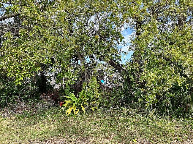 Image of 6904 Cortez Rd #142