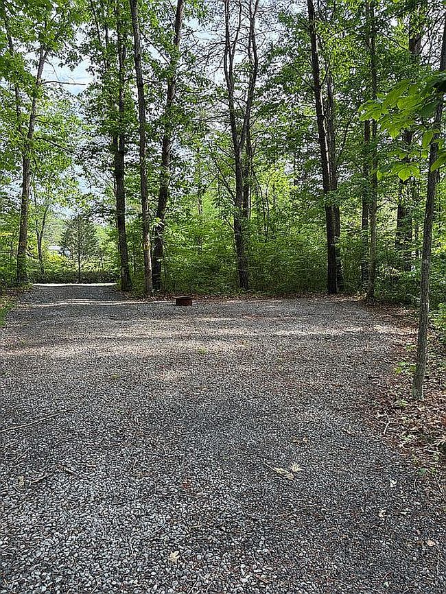 Photo of 0 Nicelytown Rd, Clifton Forge, VA
