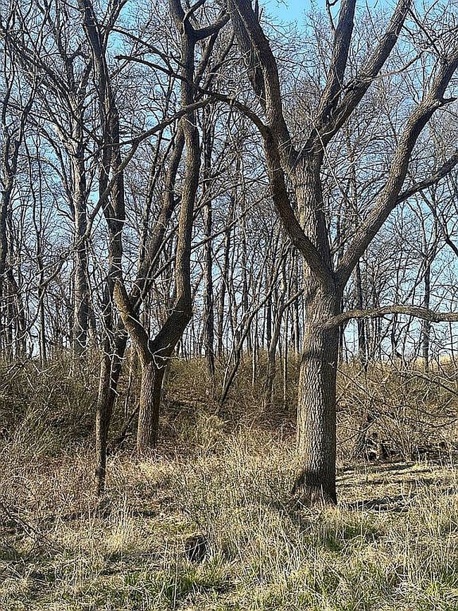 Image of 0 Highway 38