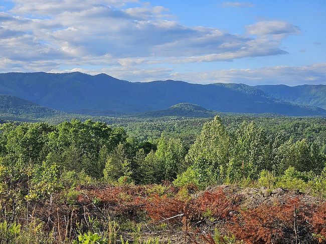 Photo of 0 Table Rock Rd, Pickens, SC