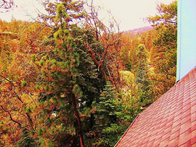 Photo of 298 S Fairway Dr, Lake Arrowhead, CA