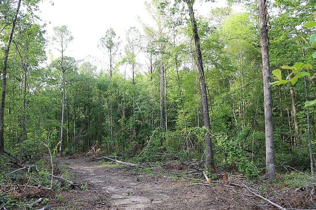 Image of 320 Fleming Rd