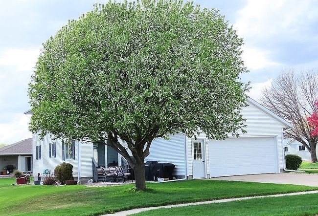 Image of 602 E Spruce Ave