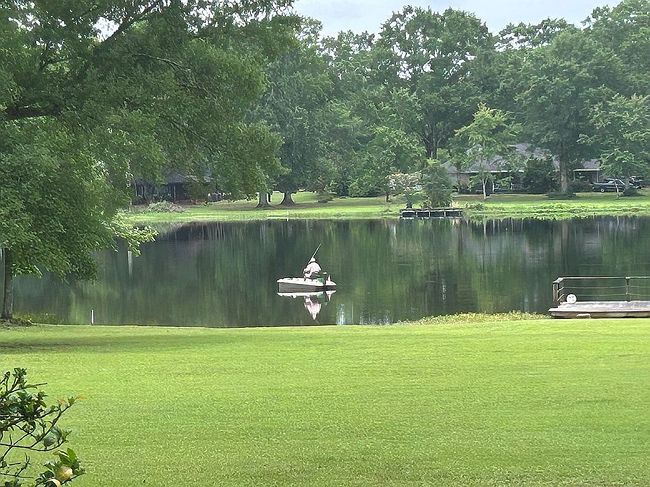 Image of 26318 Morning Dove Dr
