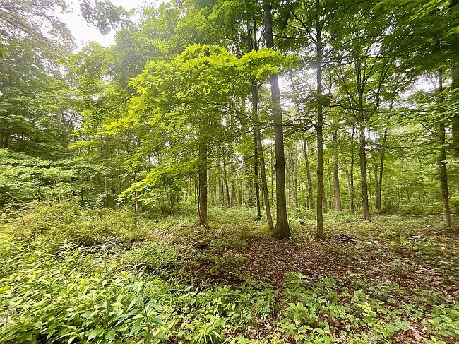Photo of 11511 Tedrow Ln, Shoals, IN