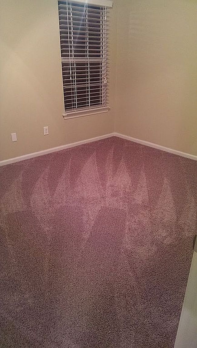 Image of 808 Old Mill Ct