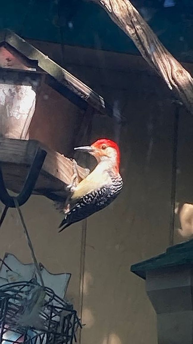 Preview of property located at 298 Crosstown Hwy