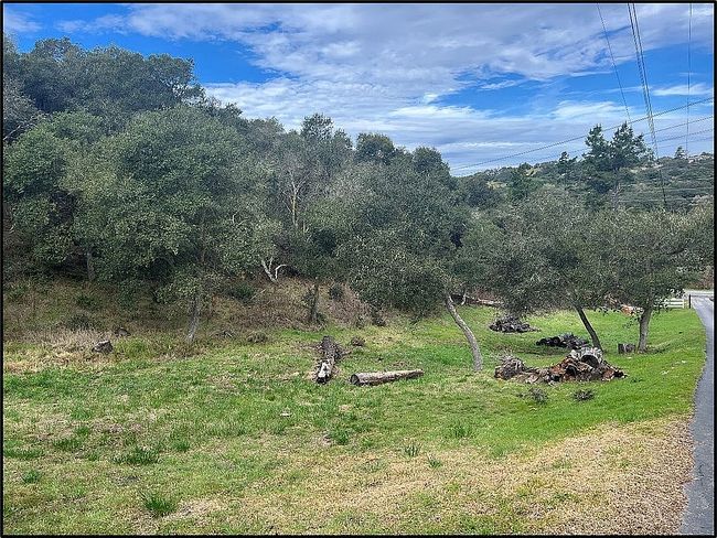 Photo of 4 Pesante Rd, Salinas, CA