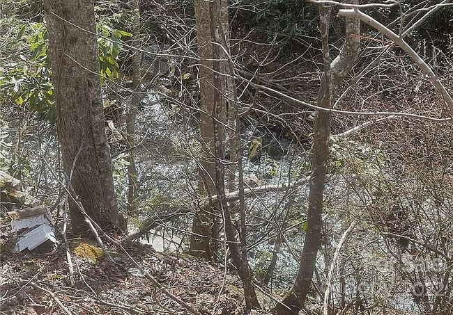 Image of 1212 Kitchen Loop Rd