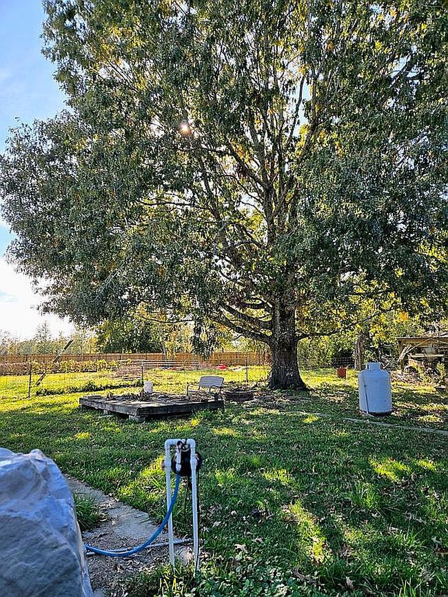 Image of 511 Sellers Rd