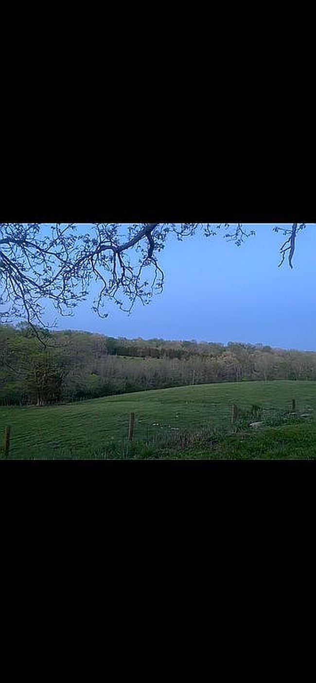 Additional photo 3 of property located at 6590 Mount Zion Rd