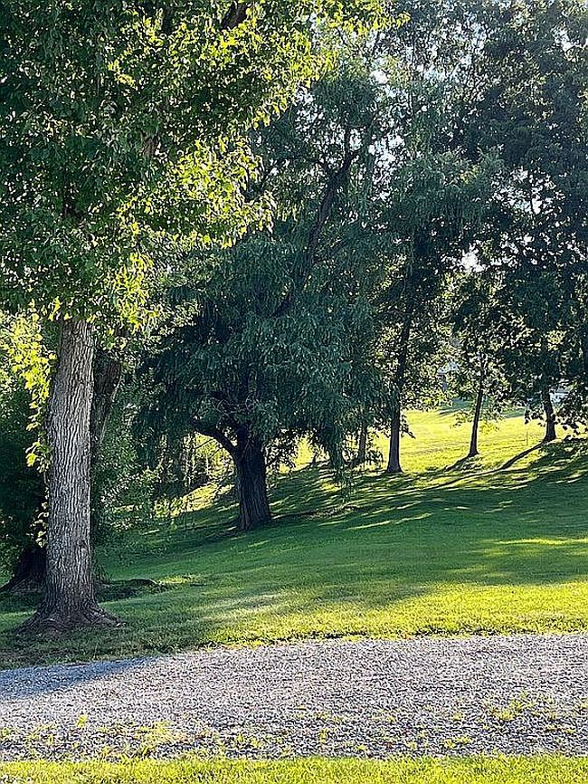 Image of 187 Mill Hollow Rd