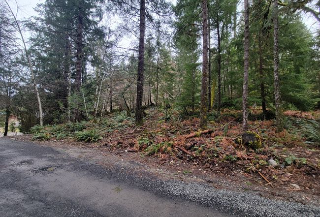Image of 123 Red Cedar Lane
