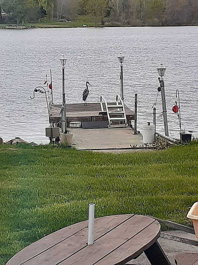 Image of 48110 68th St