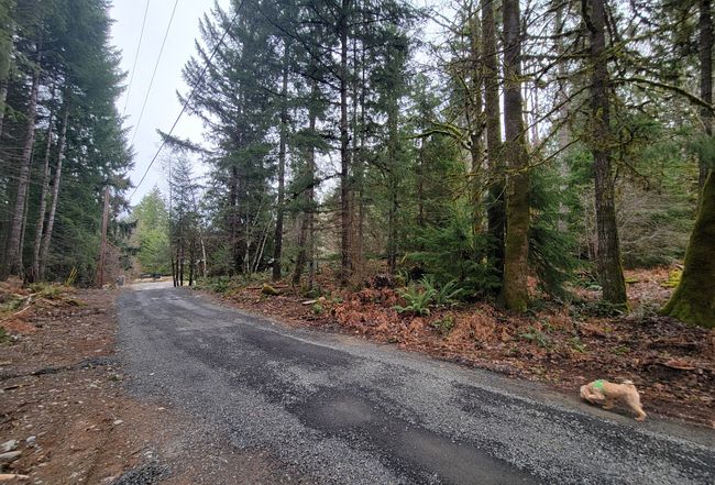 Photo of 123 Red Cedar Lane, Packwood, WA