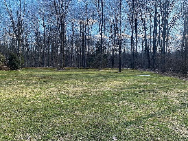 Image of 31884 Johnson Rd
