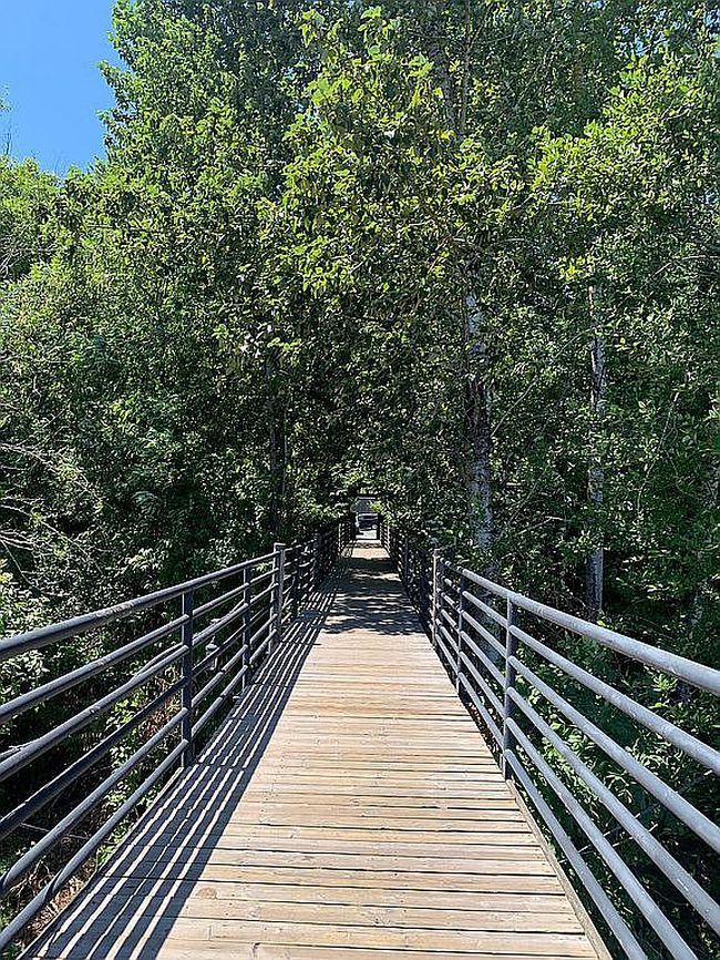 Additional photo 1 of property located at 7720 S Macadam Ave #26