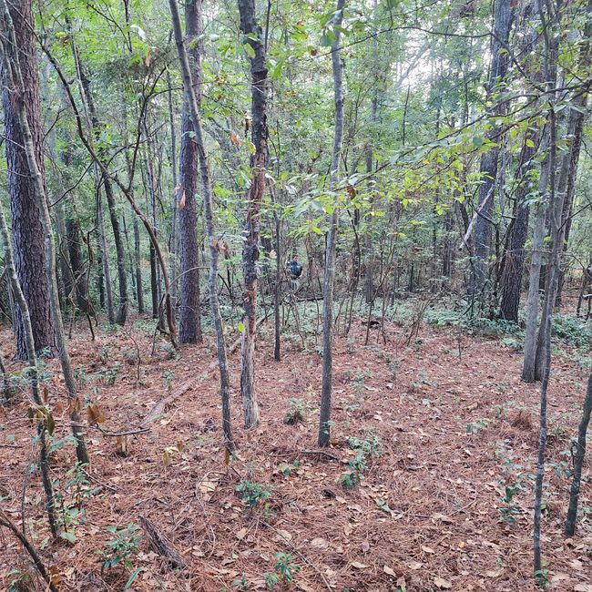 Photo of 220 Boxelder Dr, Aiken, SC