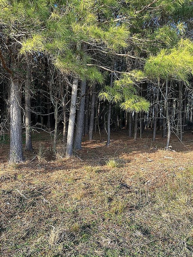 Photo of 2075 Harris Ridge Rd, Winterville, NC