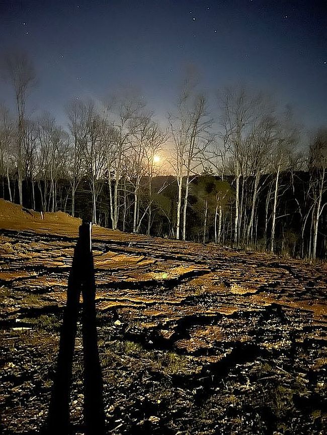 Photo of Lot 24 Goodlett Kilner Ct, Mount Washington, KY