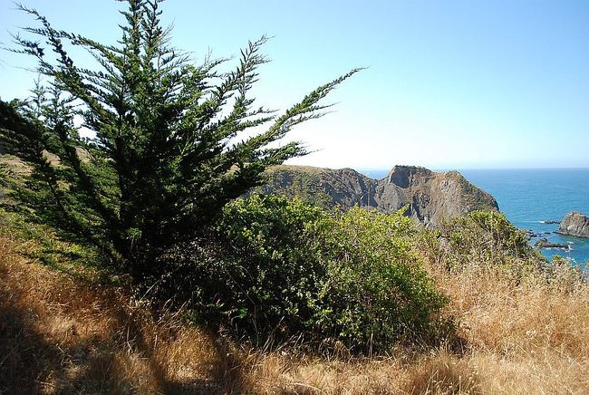 Photo of 1520 Navarro Bluff Rd, Albion, CA