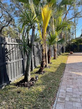 Image of 1175 Jackson Rd