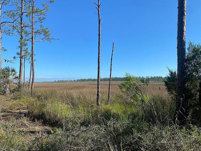 Photo of 134 Timber Ln, Carrabelle, FL