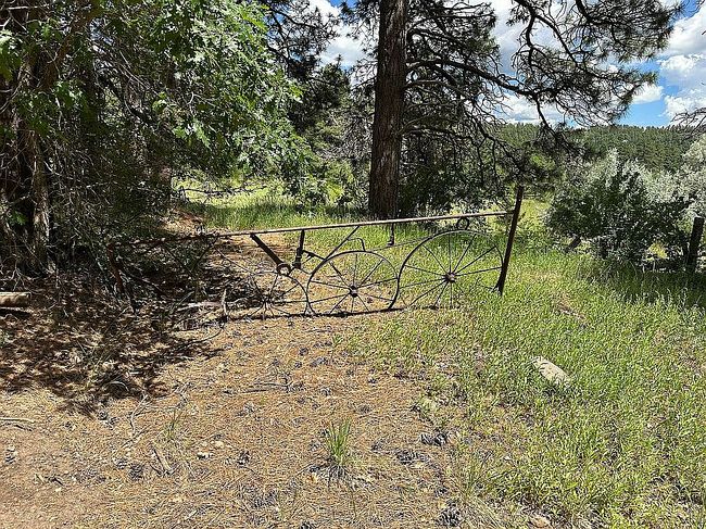 Photo of 41 Lakeview Ct, Stoneman Lake, AZ