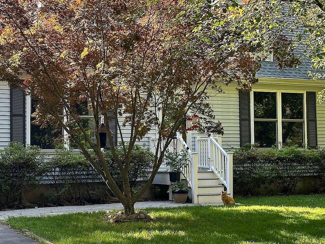 Photo of 2150 7th Ave, Hammonton, NJ