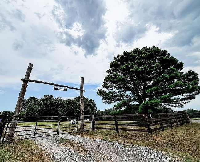 Image of 1380 County Road 1216