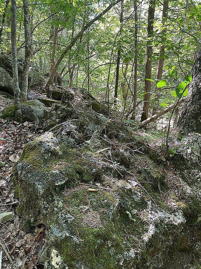 Photo of 100 N Woods Way, Branson, MO