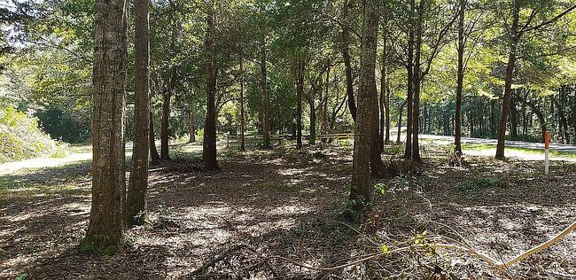 Image of 12910 County Road 49