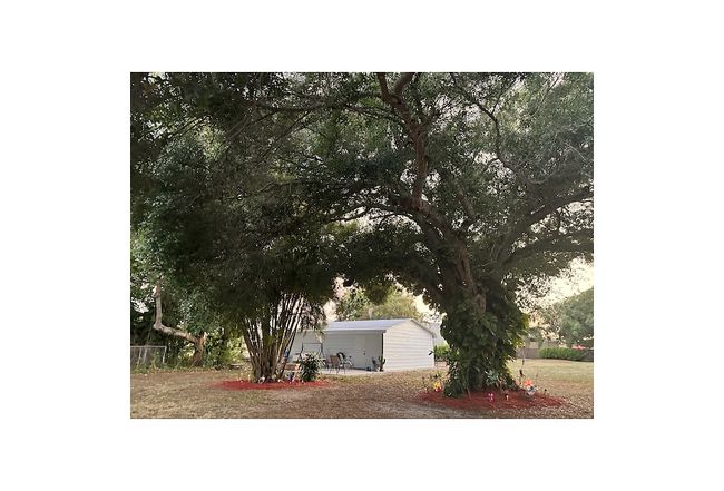 Image of 1341 Sherwood Avenue